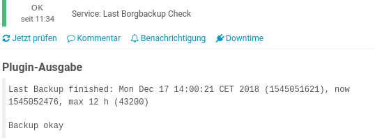 Borgbackup Check in Icinga